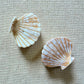Hair Clip Pearla Sands
