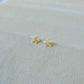 Earrings Rustic Sea Star
