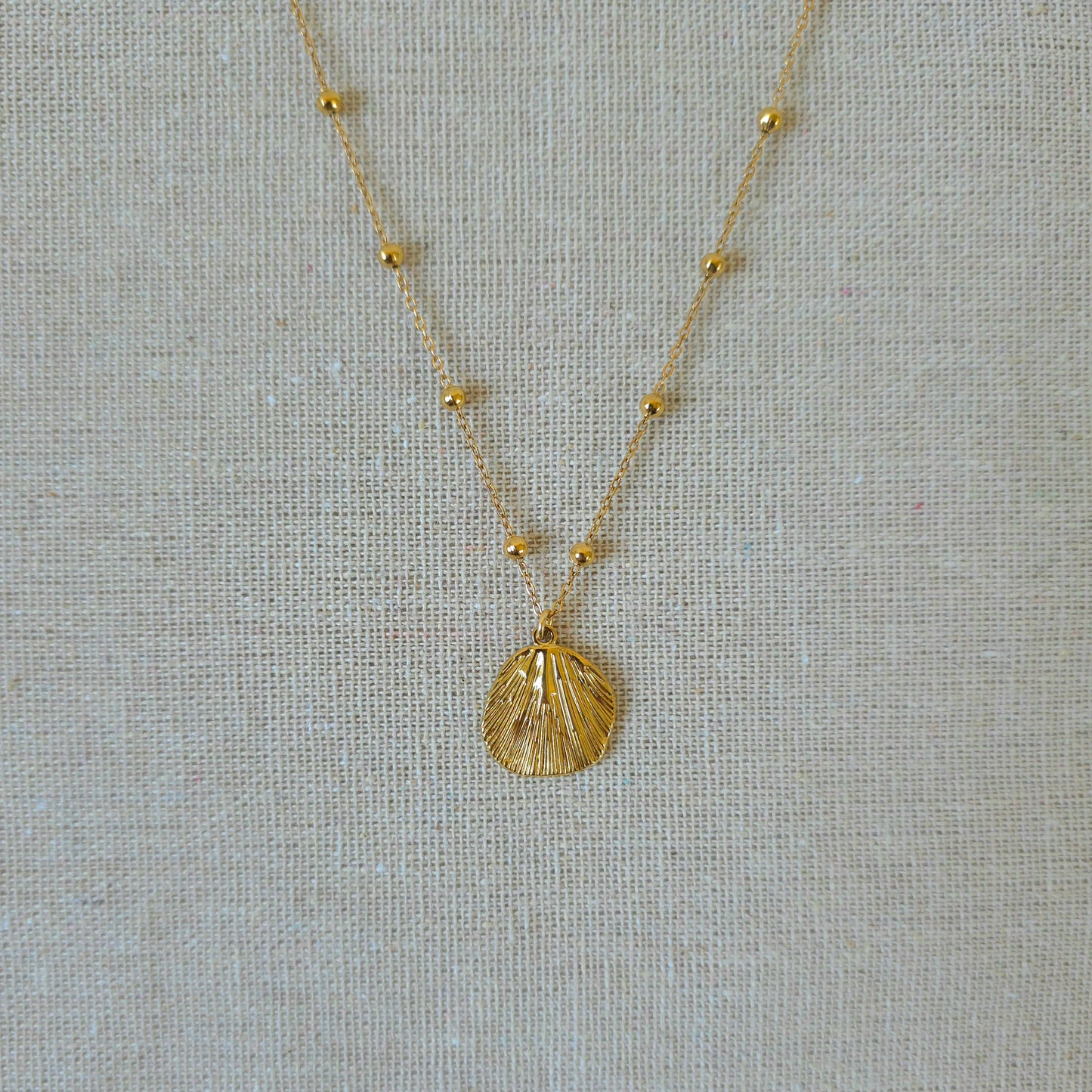 Necklace Isla Shell